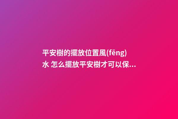 平安樹的擺放位置風(fēng)水 怎么擺放平安樹才可以保平安